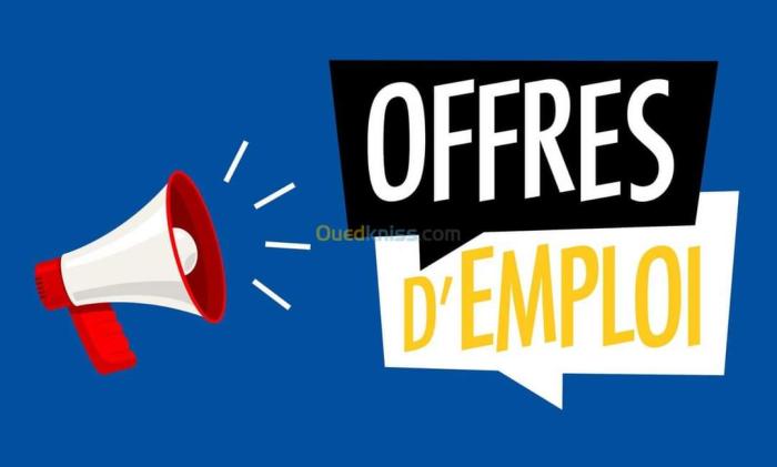 Avis de recrutement d'un (e) consultant (e) individuel (e)