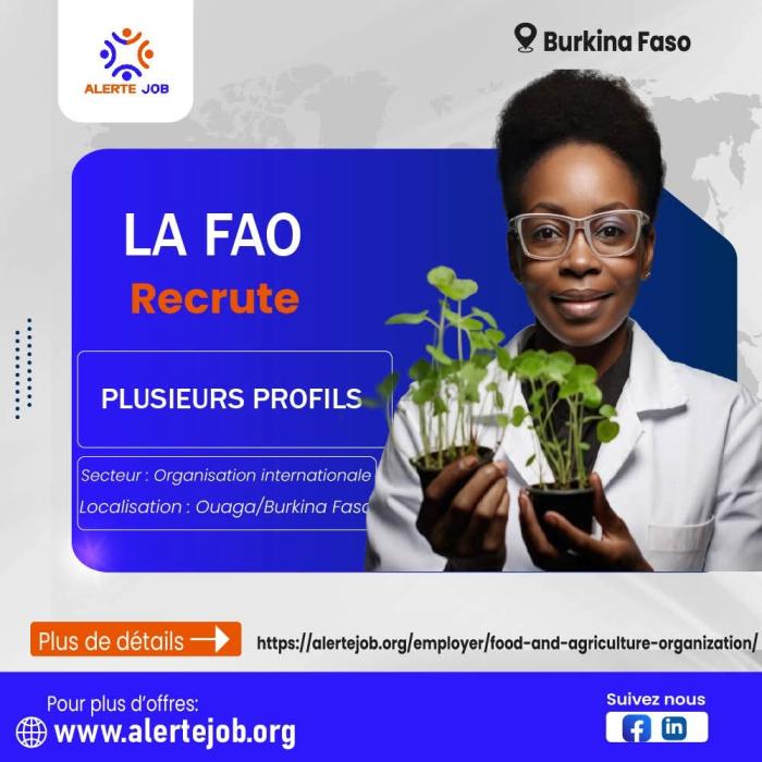 Avis de recrutement de plusieurs profils 