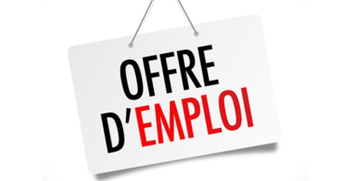 Recrutement de 02 animateurs en wash