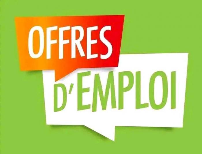 Avis de recrutement d'un(e) photographe (H/F)